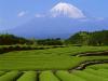 Гора Фудзи в Японии: происхождение, история и высота горы
